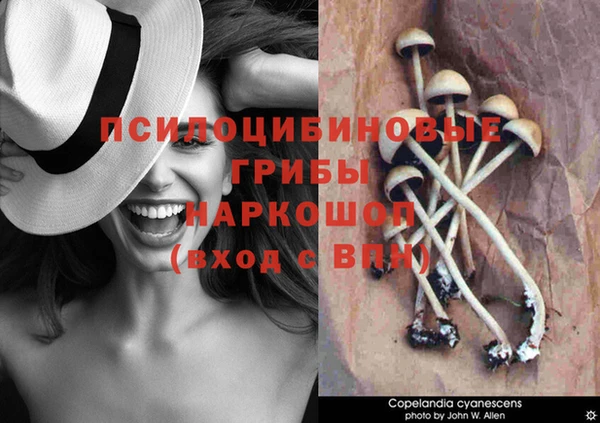 мет Алексеевка