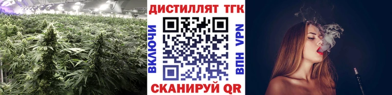 дарк нет Telegram  ссылка на мегу как зайти  ТГК концентрат  Кизел  наркошоп 